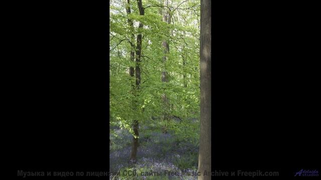 Вы заслужили этот момент покоя - включите и наслаждайтесь! - Bring the Swing -- Ketsa -- Vitality