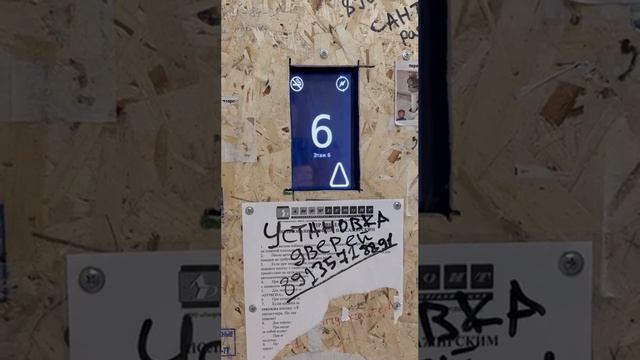 document_5348300088244467300