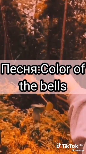 1000027513.mp4