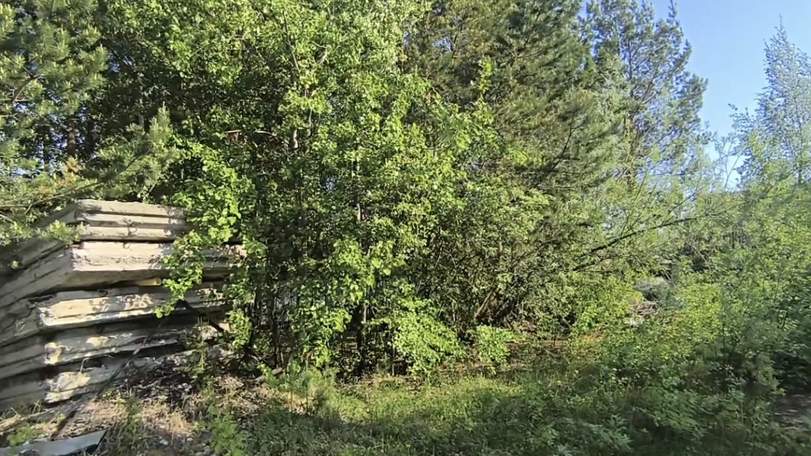 5795571 Крылья Сургута