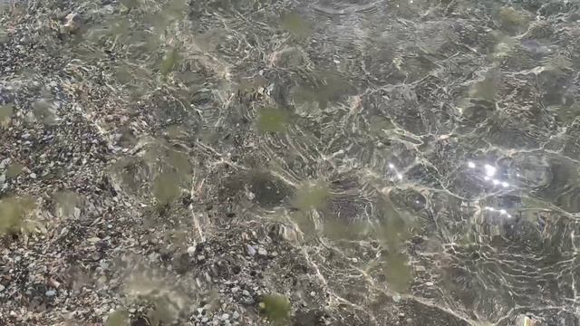 Черное море сегодня очень теплое - люди купаются не смотря на предупреждение