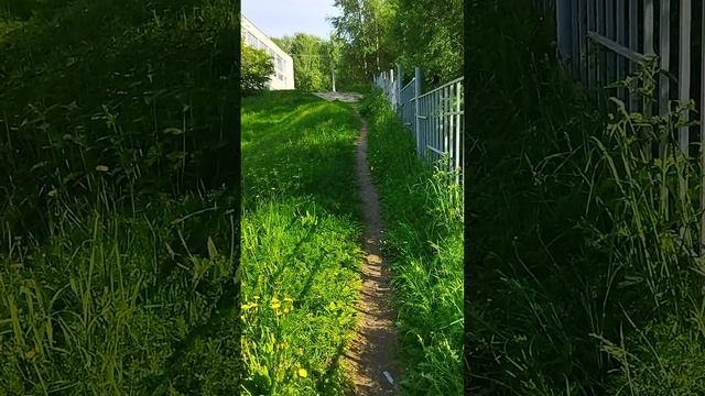 Дорога до школы