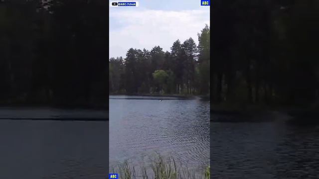 Сила в воде #юныйпрадедбодрыйдед #бодрыйдедза65лет #производствостанков