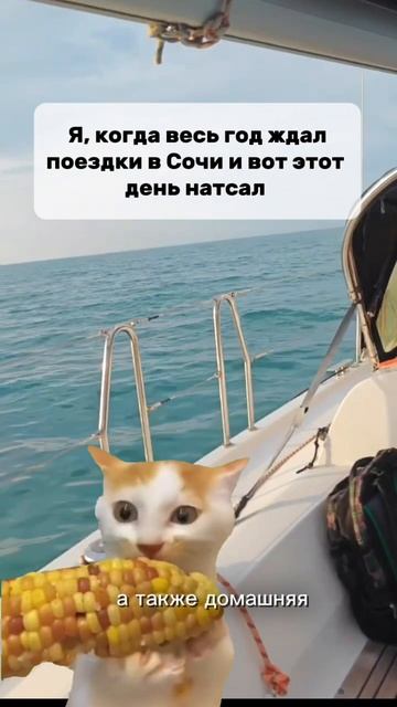 Не хватает только « Морская прогулка на яхте»😅
    #арендаяхтсочи #арендаяхтысочи #яхтинг #яхта