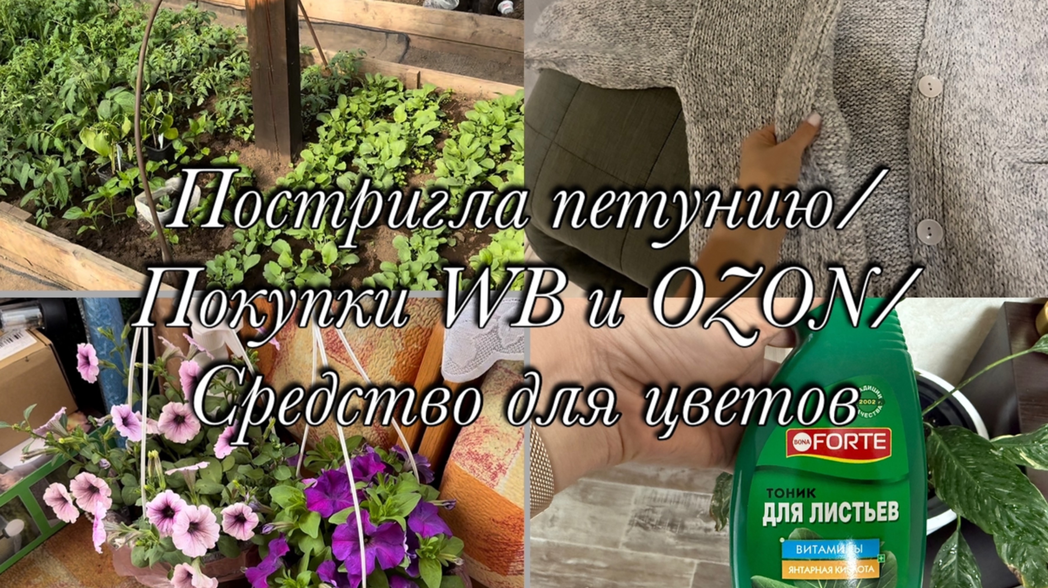 Стригу петунию 🌺Покупки с WB и Ozon🛍️Заготовили папоротник🌿