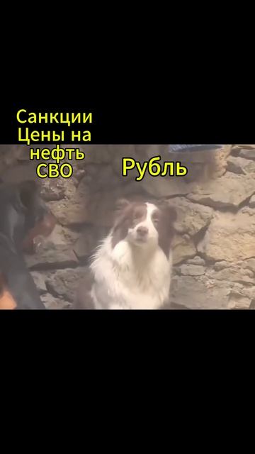 Рубль укрепляется, несмотря на проблемы