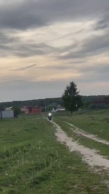 Пит