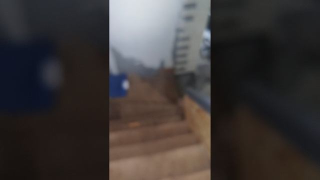 мы отдыхаем на даче