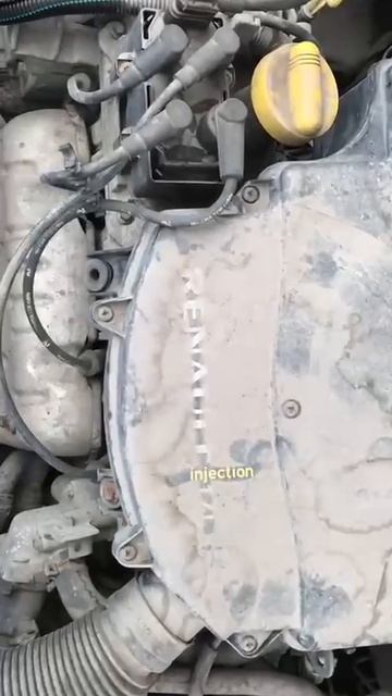 1000005729.mp4