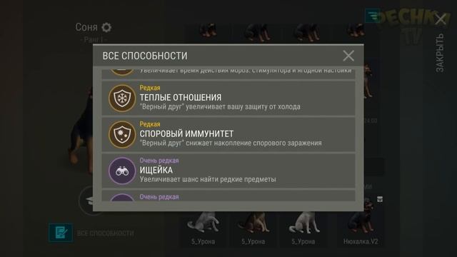 НОВЫЙ Островной регион | Ранний доступ к НОВОМУ обновл