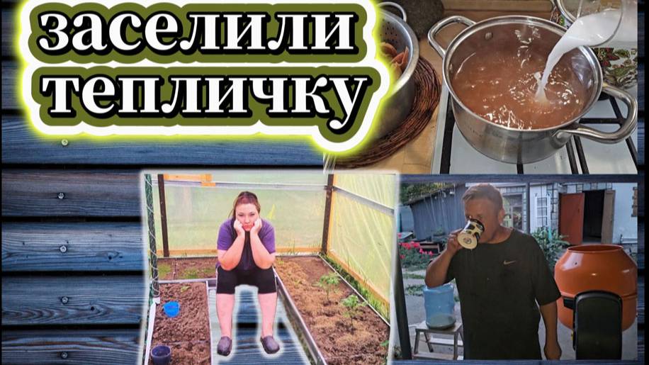91-25! VLOG ПРО ЖИЗНЬ И КОМПОТ/ЗАСАДИЛИ В ТЕПЛИЦЕ ОГОРОД/ВИНО ИЗ ОДУВАНЧИКОВ 🌼