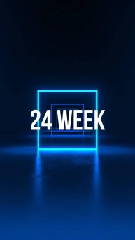 24 week 25