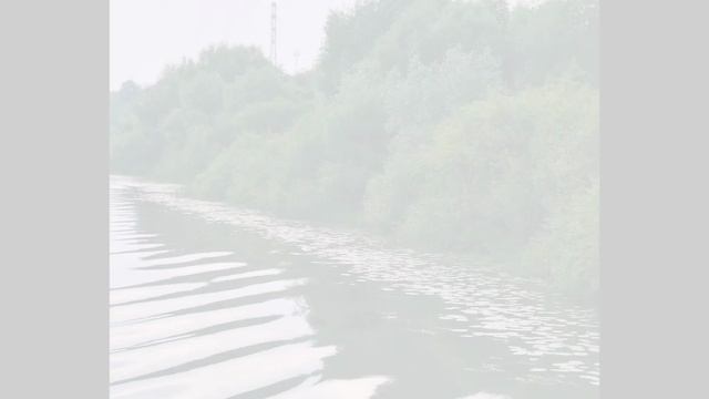8 июня- вечерняя прогулка на реку