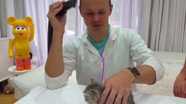 Мисс Кэйти и Мистер Макс (Miss Katy) Макс и Кэти моют котят