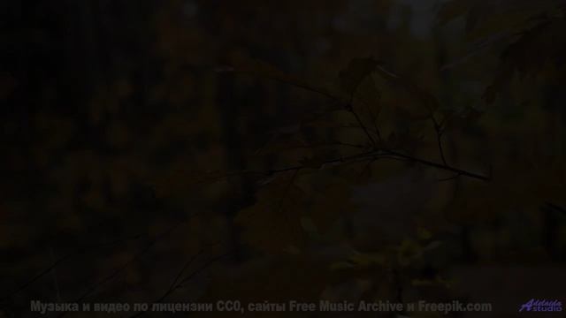 Музыка заставляет смотреть на природу по-другому - Triste alegria (LI) -- opo -- Estudios Indigenifo