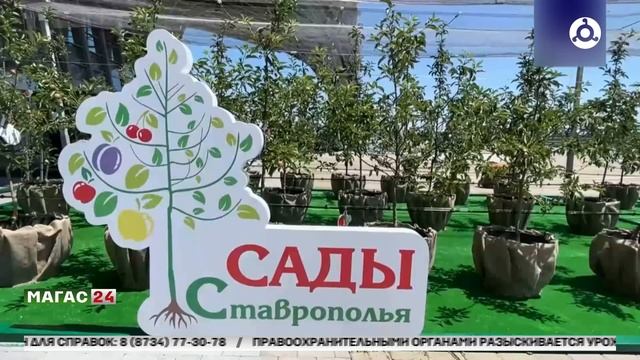 Дайджест новостей 08.06.2025 г.
