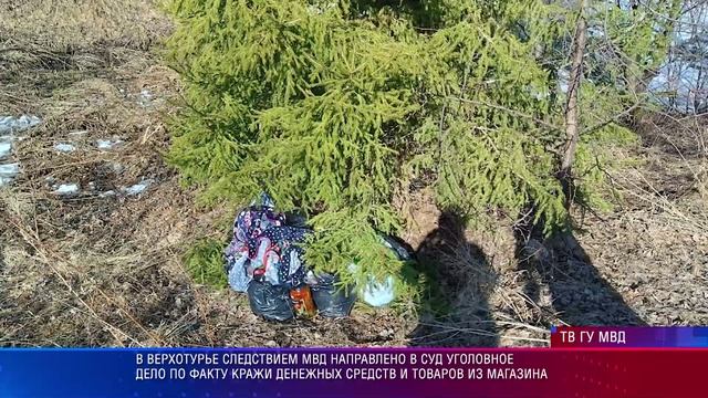 Верхотурье кража из магазина
