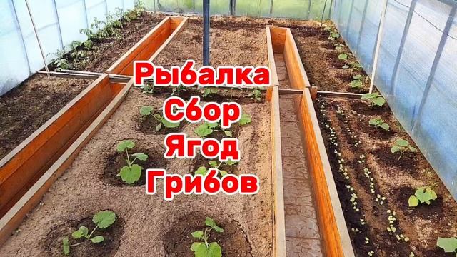 Продается Дача СНТ Ремонтник 87