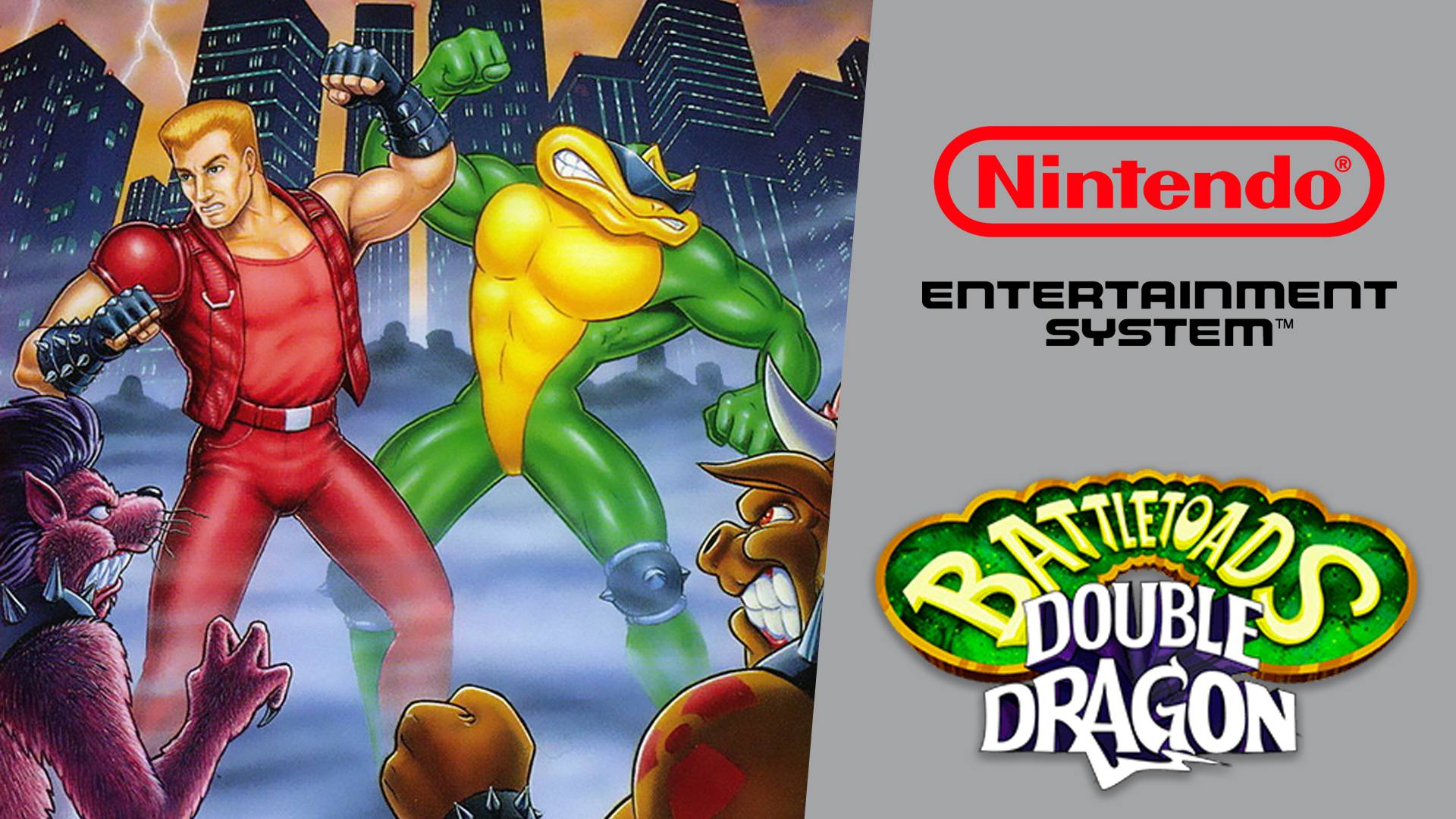 Battletoads & Double Dragon  The Ultimate Team (NES) [2 Players]