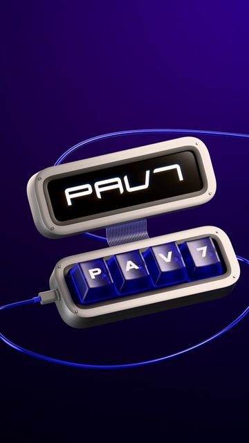 PAV7 7 лет