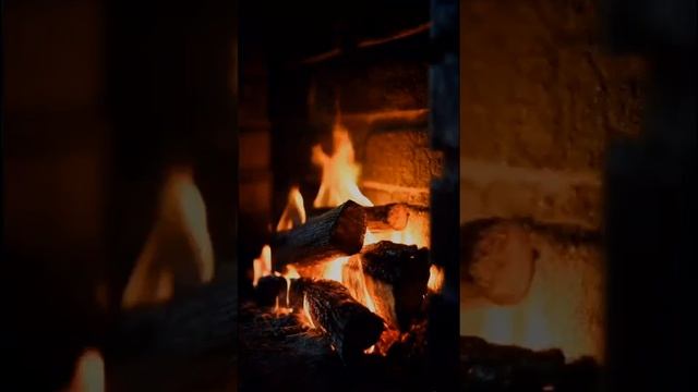 VID-20250605-WA0009.mp4