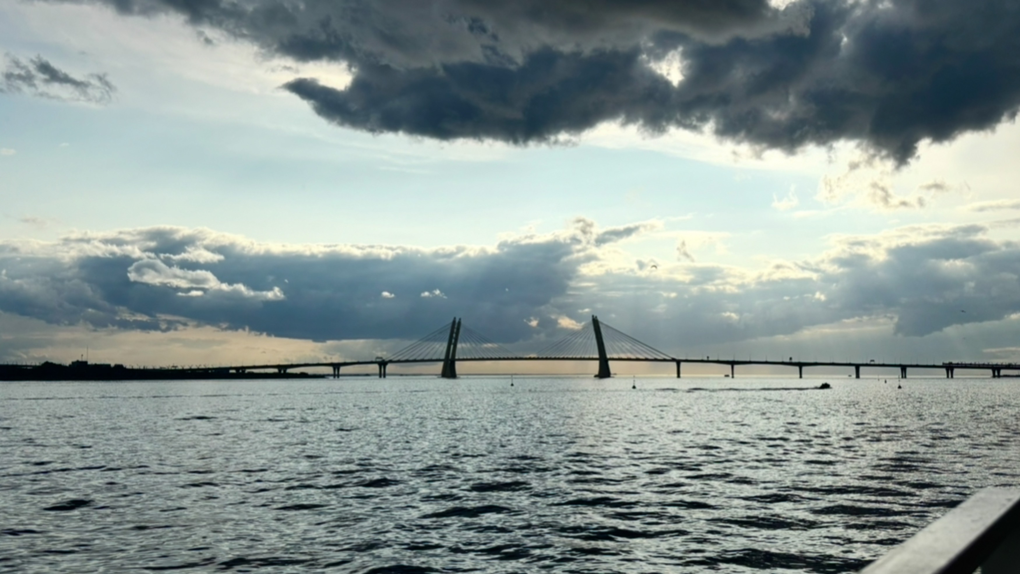 Севкабель порт: вид на Большую Неву, Финский залив, Канонерский остров и Вантовый мост