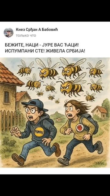 БЕЖИТЕ, НАЦИ - ЈУРЕ ВАС ЋАЦИ! ИСПУМПАНИ СТЕ! ЖИВЕЛА СРБИЈА!.mp4
