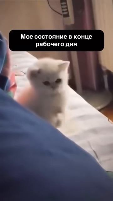 Работа