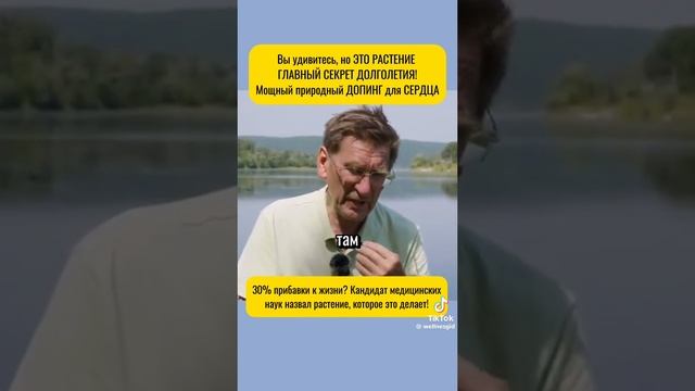 177afad90908b79738bb192881caa3b1.mp4
