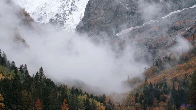 Саунд окутывает, как туман над лесами - Forgotten-Days -- Ketsa -- Bedding