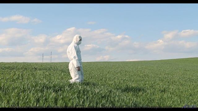 Музыка звучит так, что хочется раствориться в природе - An_Ocytocin_Problem -- Koi-discovery -- Omeg