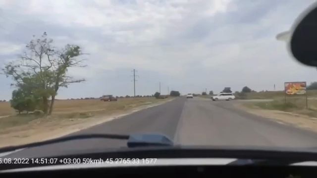 Лучшие Олени 🦌 на Дороге