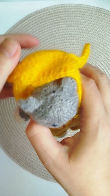 МК Котик Сэммик спицами