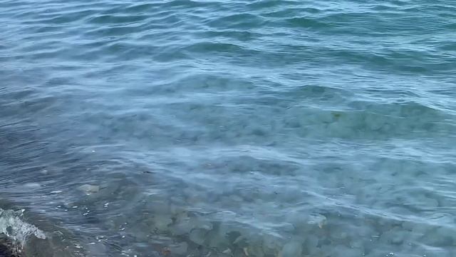 09.06.2025 Черное море Медузы