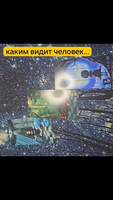 scene_output.mp4
