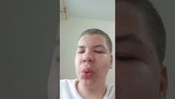 обучение итальянских животных часть 1