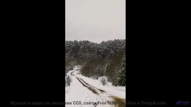 Эта музыка звучит особенно, когда её слушаешь, глядя в одни глаза - PARCERO CHIMBA -- Compadre Locur