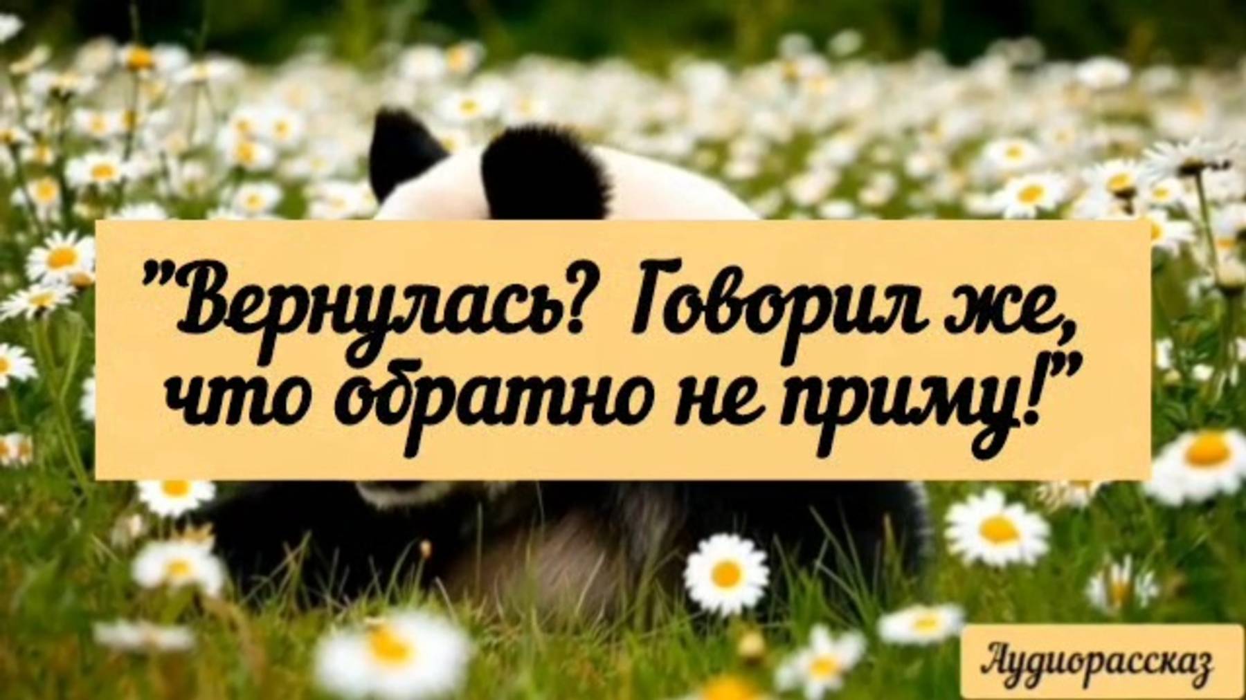 Как хорошо, когда есть куда вернуться.