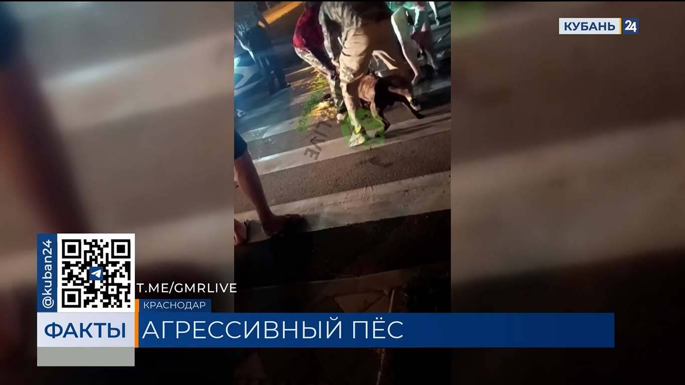 ФАКТЫ. Выпуск от 09.06.2025