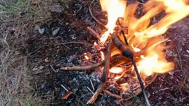 приятные моменты в лесу