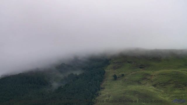 Музыка гладит пейзажи так, как хочется душе - Avispa (XXIII) -- opo -- Estudios Indigeniformes