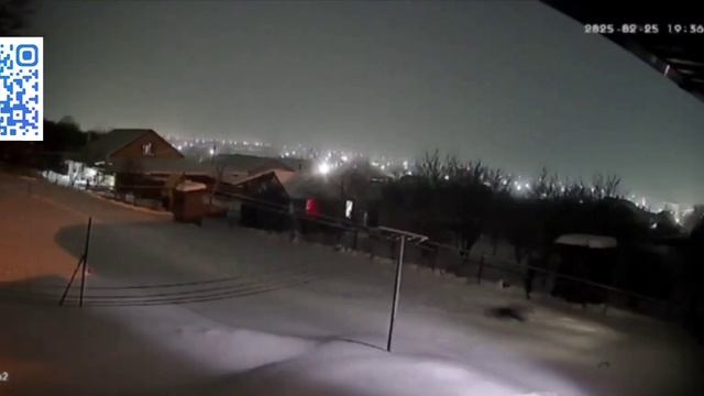 В Адыгее на камеры попал леопард