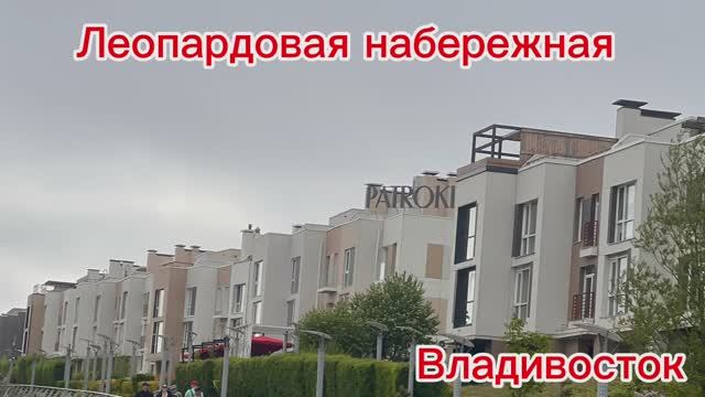 Леопардовая набережная на Патрокле. Место для прогулок во Владивостоке. Прогулялась...