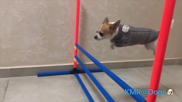 Будущий олимпийский чемпион🥇👏😂