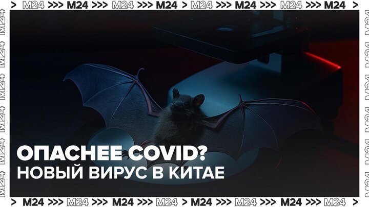 В Китае обнаружен вирус, который опаснее COVID-19 - Москва 24