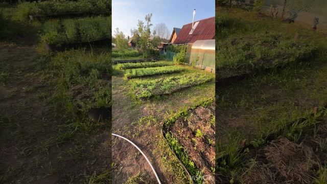 Дача с домиком- отличное место для отдыха от городской суеты