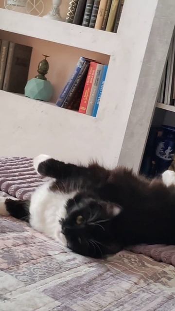 Мой любимый 💖 аромат...