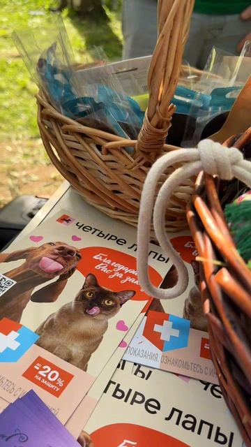 А вот и видеоролик с DOG- тусовки, которая недавно состоялась в парке Сестрорецкий