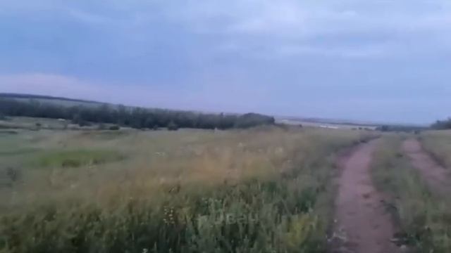 КЕНГУРУ В СТЕПИ