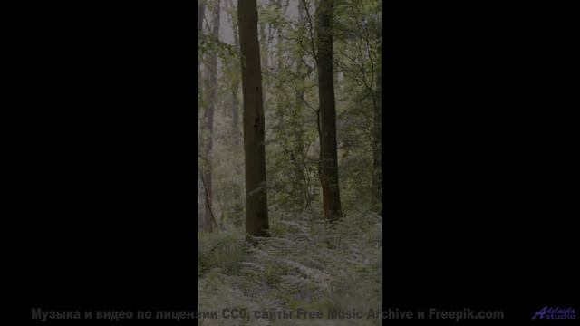 Природа в 360° VR - полное погружение в будущее! - Fucks With Me -- Mise Darling -- Rebel